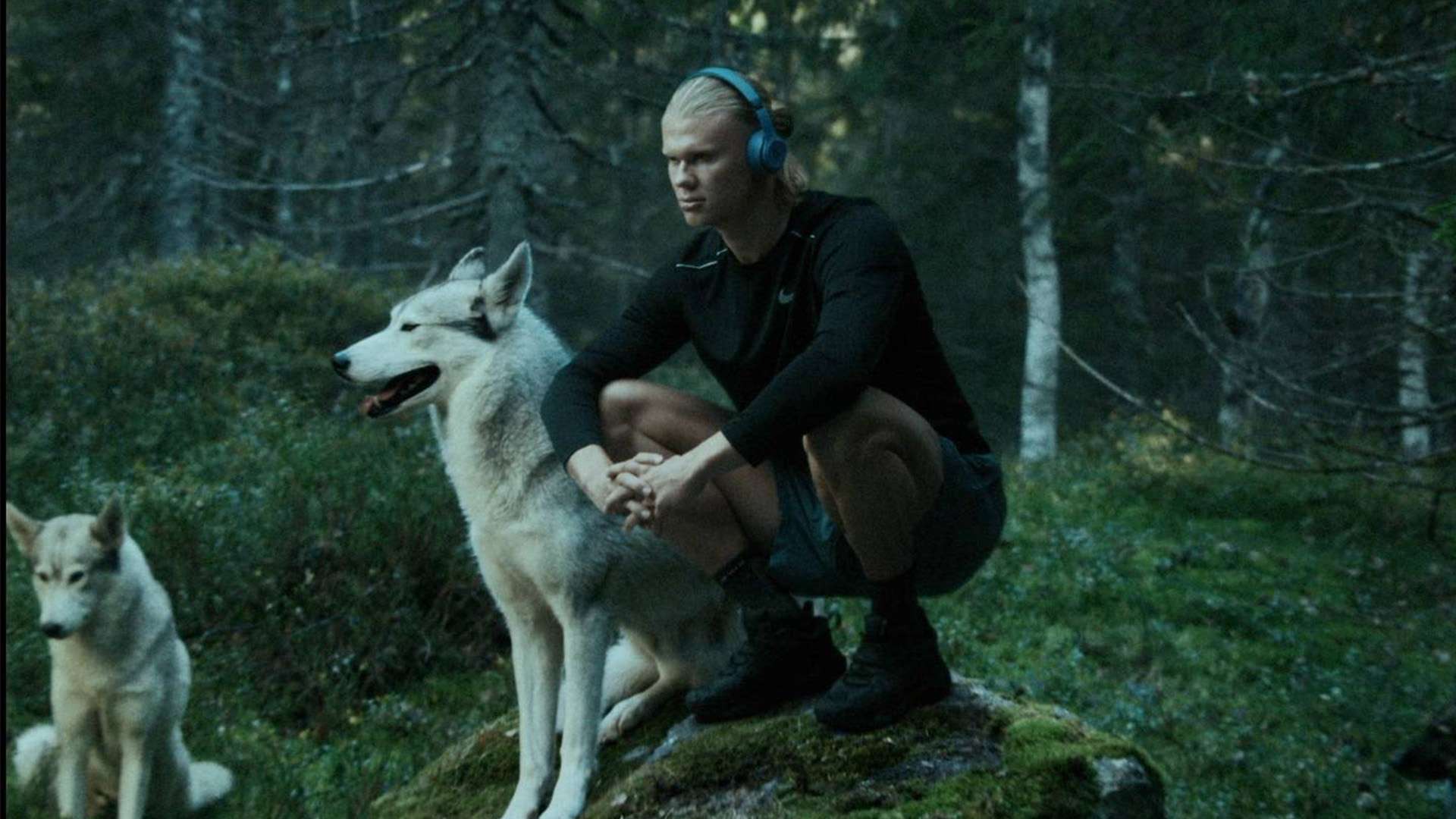 还引发了球 还引发了球