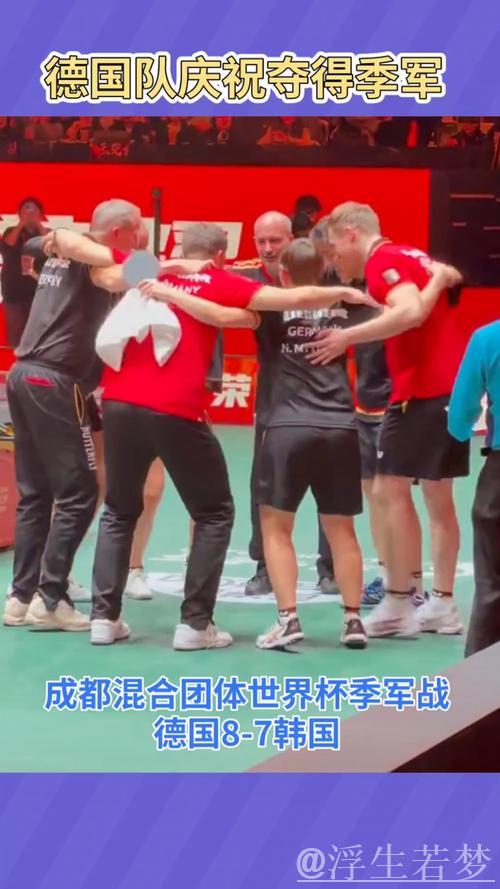 德国队力挽狂澜 荣获季军